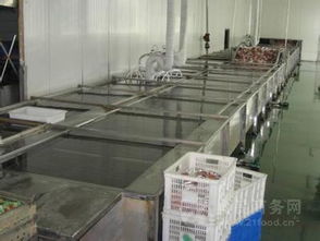 全自動(dòng)海鮮解凍清洗機(jī)與肉類(lèi)解凍機(jī) 鼎之信產(chǎn)品報(bào)價(jià)與功能介紹